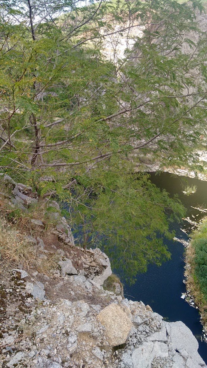 Foto do negócio