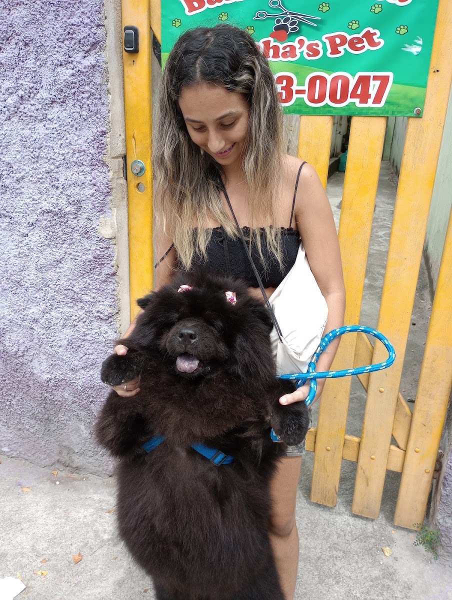 Foto do negócio
