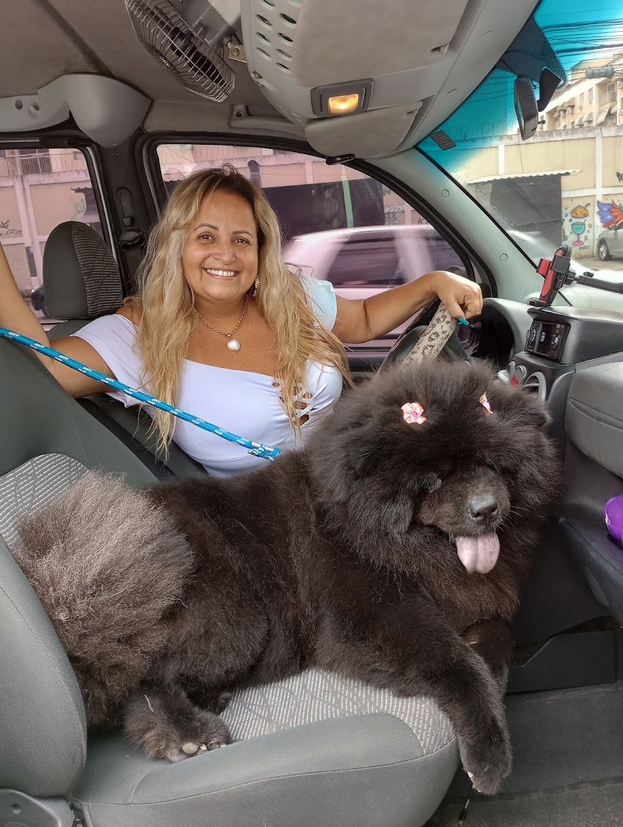 Foto do negócio