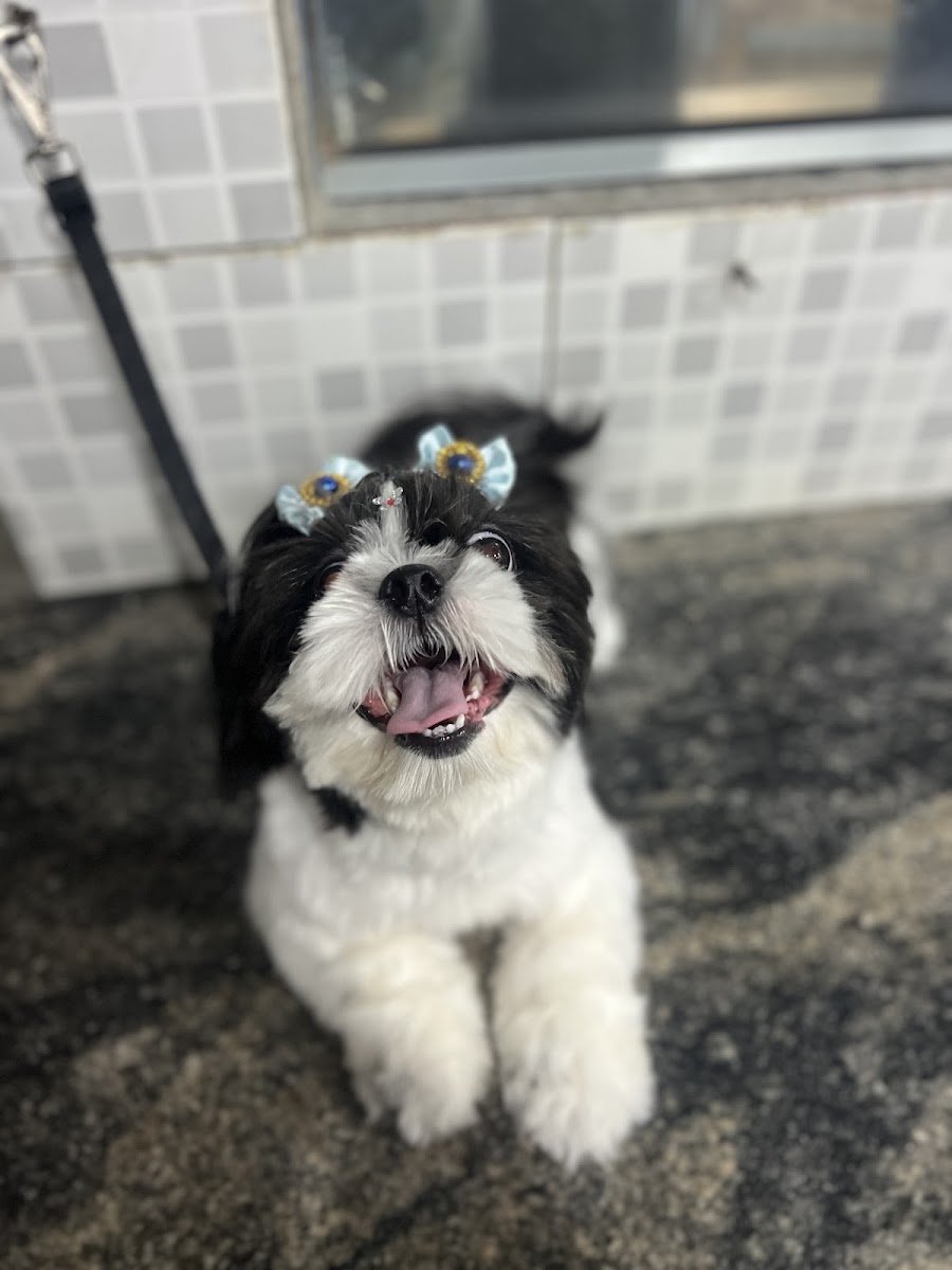 Foto do negócio